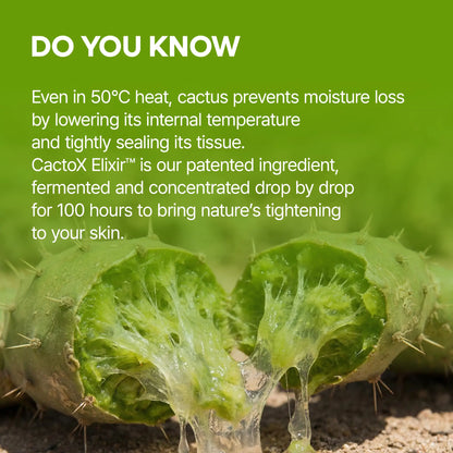 CACTOX V-LIFTING MEWING BAND with Cactus Cooling Reduce Puffiness