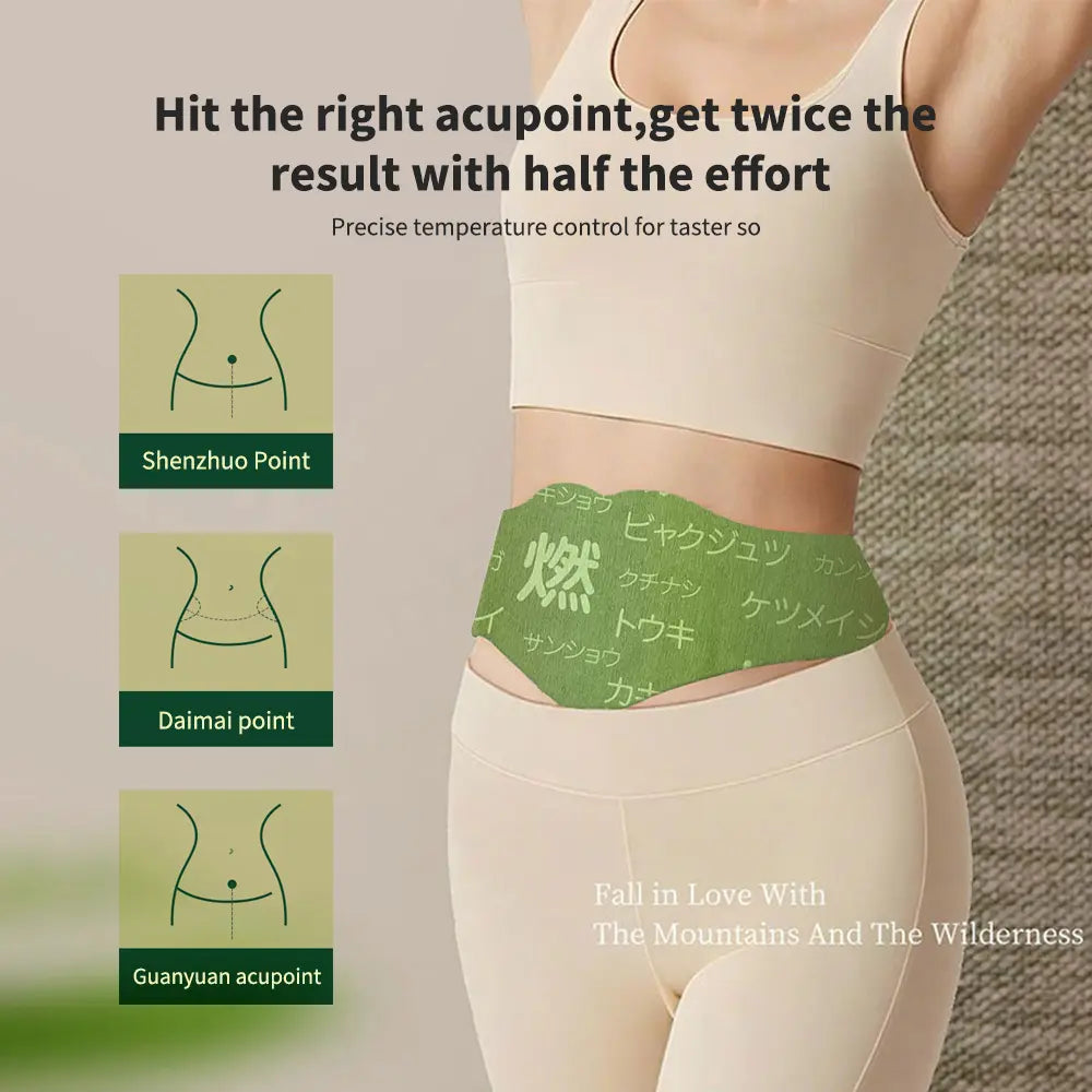 Hanpo Japanese Herbal patch Pad Balance Patch