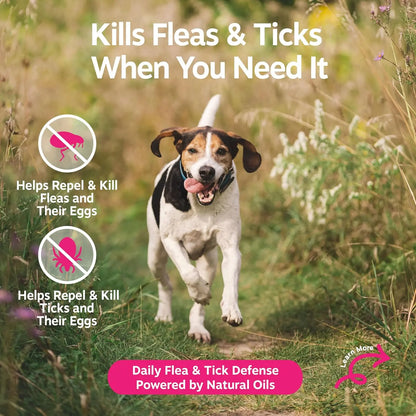 Zesty Paws Flea & Tick Natural Soothing Spray for Dogs 16 fl oz